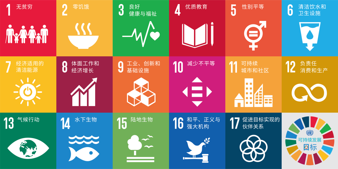 图片7