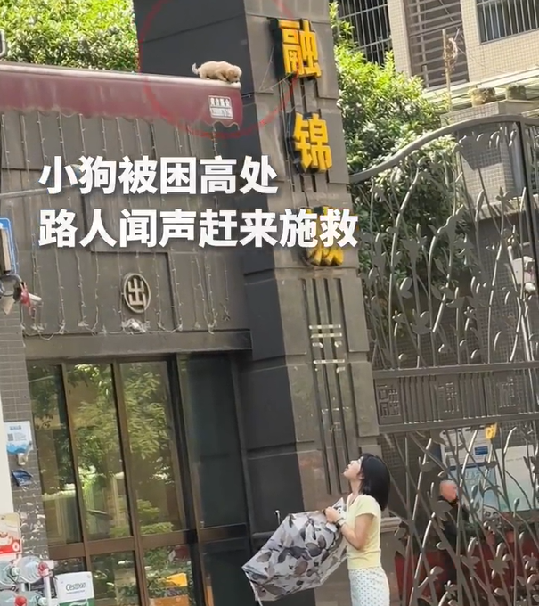 搜狗高速浏览器截图20260921103902